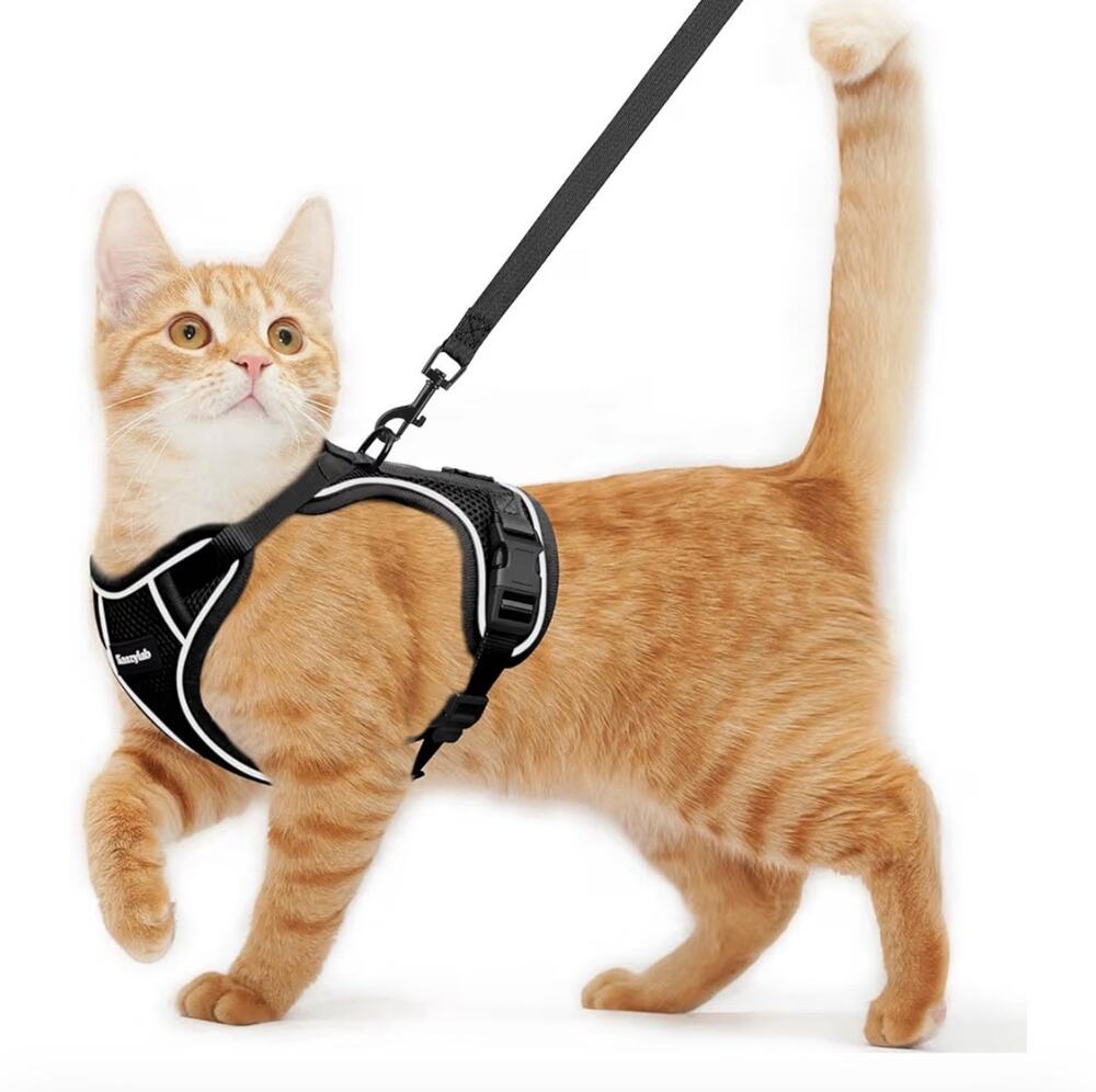 Kaazylab Cat Harness and Leash Black Size M (13-18 Lbs) Reflective Strip - Picture 1 of 6